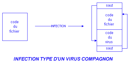 mode f'infection d'un virus